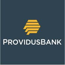 Rise vest is a global dollar investment plans that allows users to invest in us stock, real estate and eurobonds.according to them, they are a tech. Providus Bank Deactivates Piggyvest Risevest Others Accounts Daily Review Online Nigeria And World News