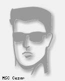 Polski Związek Brydża Sportowego