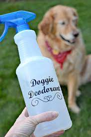 Homemade Dog Deodorant For Your Smelly Pooch