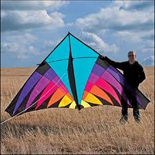 At fabricgateway.com find thousands of fabric categorized into thousands of categories. Amljm Free Shipping Outdoor Fun Sports Nylon Power Triangle Kite Good Flying Buy Online In Congo At Congo Desertcart Com Productid 139224773
