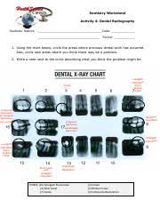 Dental X Ray Chart Pdf Dentistry Worksheet Activity 4