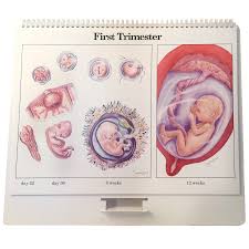 Childbearing Classic Series Flip Chart Childbirth Graphics