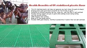 Https Www Youtube Com Watch V Kpdfb4oimpc T 22s Plastic Flooring Goat Farming Heat Stress