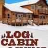 See more ideas about cabin, honeymoon cabin, tiny house cabin. 1