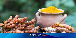 Kunyit 1 siung, dan 4. Apakah Kunyit Bisa Jadi Obat Asam Lambung Halaman All Kompas Com
