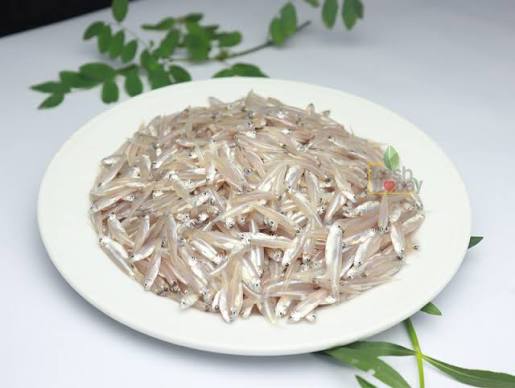 কাচকি মাছ