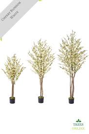 Bacterial canker can damage cherry trees. Buy Our Artificial Cherry Blossom Trees In White Stunning Quality Expertly Handmade Free Uk Mainland Delivery
