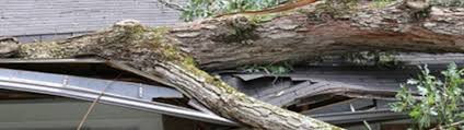 Regardless of whether it is required for you, windstorm insurance is a good consideration for florida homeowners, given that the state regularly experiences strong winds, hurricanes and other storms. Wind And Windstorm Insurance Alvin Houston Texas Gulf Coast