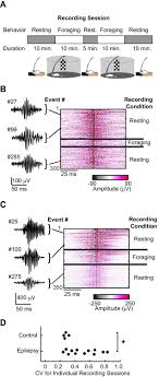 The impact of pathological high-frequency oscillations