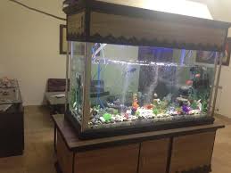 Fish Aquarium Big Size For Sale Aquarium Fish Aquarium Big Size