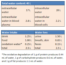 People used to go by the rule that a liter of water weighed a kilogram. Can Too Much Water Be Toxic Part 1 Chemviews Magazine Chemistryviews