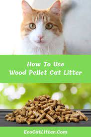 How To Use Wood Pellet Cat Litter Wood Pellets Cat Litter Natural Cat Litter
