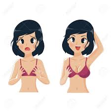 Young Girl Small Breast Compare With Big Breasts Girl. Royalty Free SVG,  Cliparts, Vectors, and Stock Illustration. Image 123424479.