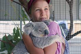 Meet Izzy Bee An 11 Year Old Koala Whisperer The Star