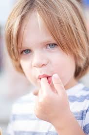 Family Friendly: Williamson County Fair · Lemons to Love