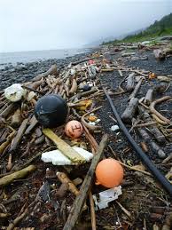 Local time (06:15 uk tim. Hawaii West Coast States Prepare For More Tsunami Debris Honolulu Star Advertiser
