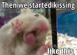 290,877 likes · 28,268 talking about this. Blame It On The Alcohol A Poem By Lori Rowland All Poetry