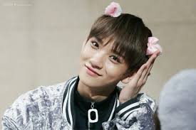 Seventeen Joshua Kpop Korea K Pop Korean Cute Kitty Cat Kawaii Idol Seventeen Wajah Instagram