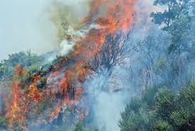 See more of incendi in sardegna on facebook. Xu3daci Kwvv0m