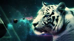 Tusenvis av nye høykvalitetsbilder legges til daglig. Cool Tiger Wallpapers Top Free Cool Tiger Backgrounds Wallpaperaccess