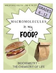 Biochemistry Tests For Food Macromolecules Lipid Answers Biological Macromolecules Activity Macromolecules In My Food Macromolecules Activity Macromolecules Macromolecules Biology