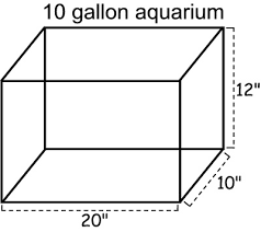 80 Gallon Fish Tank Dimensions Pngline