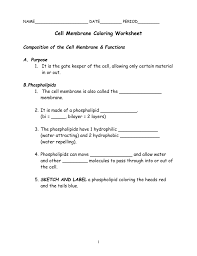 Found worksheet you are looking for? Cell Membrane Coloring Worksheet Composition Of The Cell