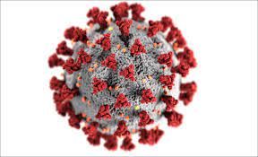 An official website of the national institutes of health. Paul Ehrlich Institut Dossier Coronavirus Sars Cov 2 And Covid 19