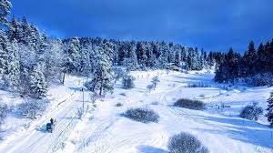 Best western plus bakuriani is located 1.9 mi (3 km) from the city center. Booking Of Hotels Guest Houses Apartments And Cottages In Bakuriani Ski Resort In Georgia