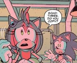 But you're still standing here — SEGA and its most recent Sonamy side –  more canon...