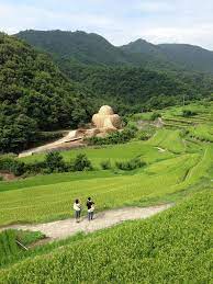 panoramio photo of setouchi trienale 2013 小豆島の光 ワン ウェンチー japan travel japan travel