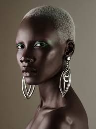 African History Group