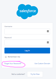 Here we recommend using a role that hasn't got a lot of permissions (for example the equipment viewer role) Set Up Salesforce With Google Single Sign On Sso Salesforce Ben