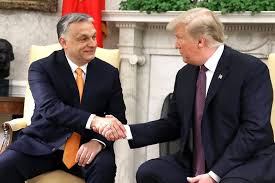 As the hungarian prime minister systematically undermined his own country's education system, one institution stood defiant: Trump Critics Are Giving Hungary S Viktor Orban Too Much Credit