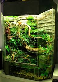 Converting My 140g Eurostyle Vivarium Page 2 Dendroboard Vivarium Frog Terrarium Aquarium Design