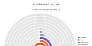 fentanyl analogue potency chart by dennis yip infogram