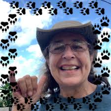 Are there any animal shelters or therapy places in Papillion that accept  volunteers?