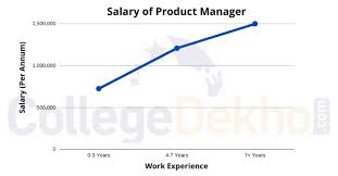 A director of product management is responsible for a business's product planning and execution all through the lifecycle of the business. Career As Product Manager How To Become Courses Job Profile Salary Scope