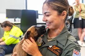 RAAF Base Pearce hosted the most 'paw-fect' guests for a Puppy Party! 🐾  Prospective Military Working Dogs & Police K9 puppies from K9 Solutions  Australia Virtus House Kennel 'Echo' litter, got up