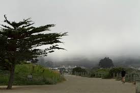 Winds wsw at 24 mph (38.6 kph). Why San Francisco Gets So Windy And Foggy In The Summer Kqed