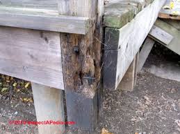 There are a number of things that affect how naturally durable a timber is; Rot Resistant Lumber Choices For Deck Framing Deck Or Porch Floors