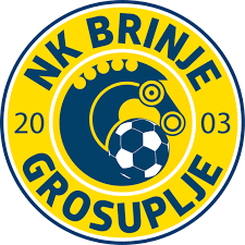 Nk Brinje Grosuplje Slowenien Wappen Verein