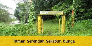 Kijang emas digunakan untuk simbol negeri kelantan apa maksud disebaliknya soscili. 2019 Kelantan Kini