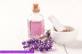 عشبة الخزامى وكيفية استخدام فوائد اعشاب زيت اللافندر للشعر للبشرة Calming Essential Oils Aromatherapy Gifts Healthy Skin Remedies