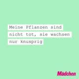 Whatsapp Status Sprüche Die 66 Besten Bilder Mädchende