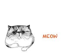 Persian Cat Tattoo Google Search Cats Illustration Cat Tattoo Cats Art Drawing
