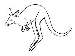 Jumping Kangaroo Coloring Kangaroo Drawing Kangaroo Art Drawings
