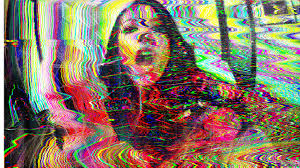 Introduction · The Digital Closet