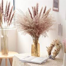Use dried flowers and grasses in simple home decor styling or preserved flowers in wedding bouquets. 2021 Top Selling Pampas Grass 60 Cm Natural Dried Flower Diy Decorative Dried Flowers Artificia Support Wholesale Best Promo De732 Goteborgsaventyrscenter