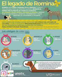 El Liston Amarillo Podria Salvar La Vida De Tu Perro Y Los Demas Colores